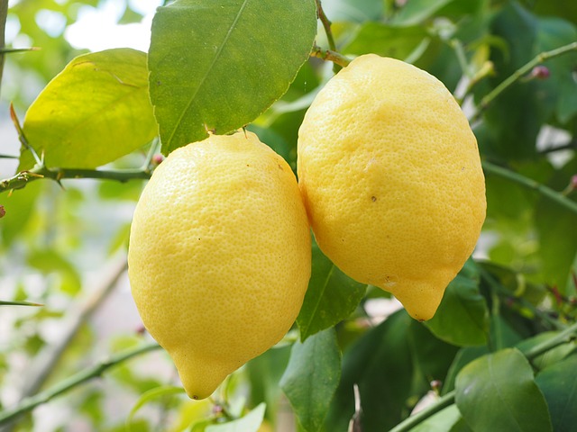 citróny